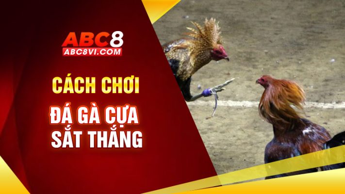 đá gà cựa sắt