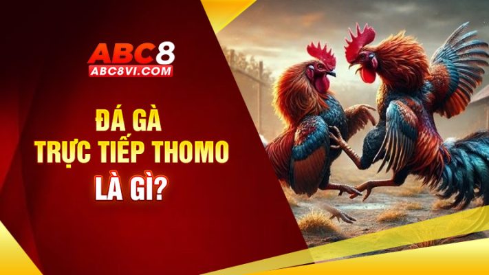 đá gà trực tiếp thomo