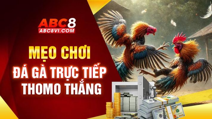 đá gà trực tiếp thomo