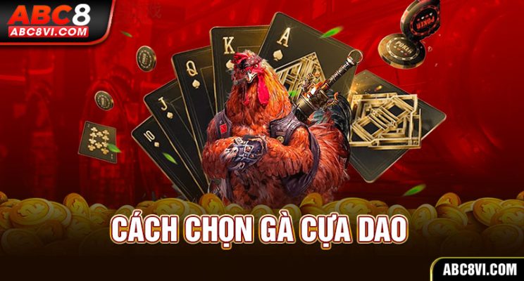 đá gà cựa dao