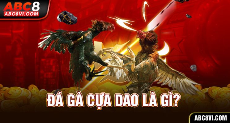 Đá gà cựa dao